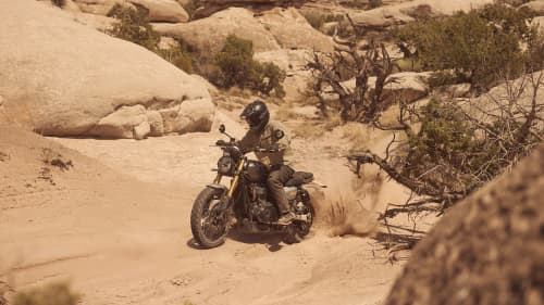 Triumph Scrambler 900 — As low as 3.99% APR