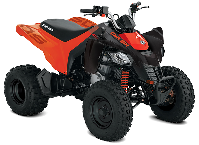 Can-Am DS - Up to $250 rebate